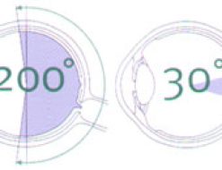 optomap_illustration